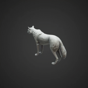 Realistic Rigged Wolf Model