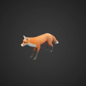 Realistic Rigged Fox Model