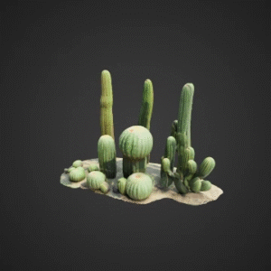 Desert Cactus Cluster