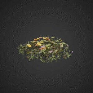 Wildflower Meadow