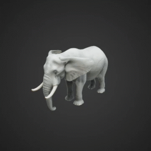Gentle Giant - Elephant