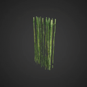Bamboo Grove