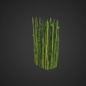 Realistic Bamboo Grove