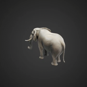 Realistic African Elephant