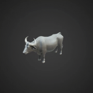 Gentle Giant: Asian Water Buffalo
