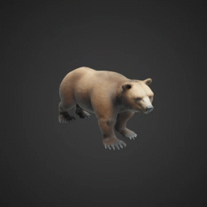 Realistic Brown Bear