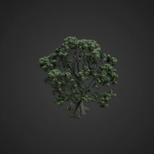 Realistic Oak Tree