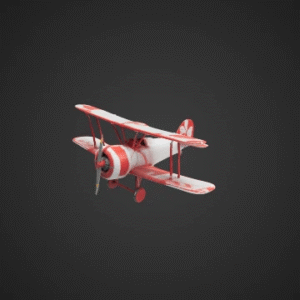 Authentic Model Airplane