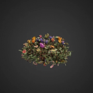 Vibrant Flower Bed